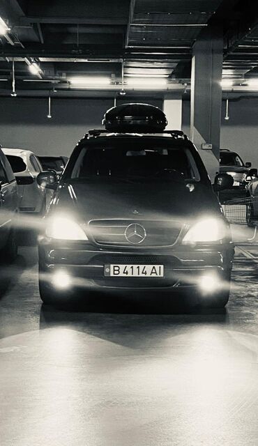 прокачка аммортизаторов: Mercedes-Benz M-Class: 2001 г., 3.2 л, Автомат, Бензин, Внедорожник