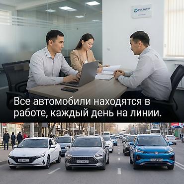 Готовый бизнес: Инвестиция в бизнес — 8