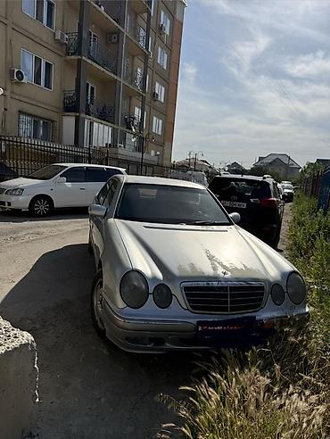 bud e9: Mercedes-Benz E-Class: 1999 г., 2.4 л, Автомат, Бензин, Седан — 3