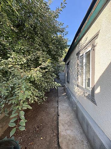 село чокморова: ✨Продается дом в г. Шопоков✨ 🏡Характеристики — 2