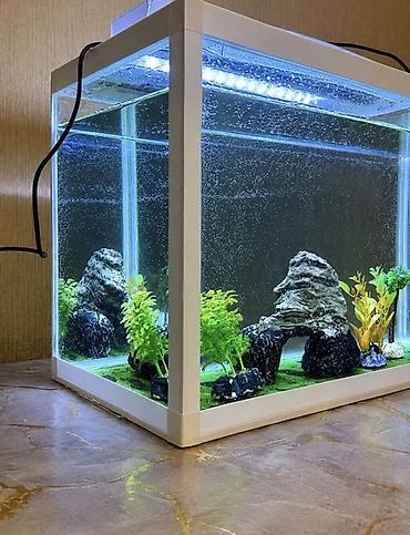 akvariyum: Akvaryum seti – LED işıqlı, qapaqlı, dekorasiyalı - Şüşə akvaryum, ağ — 3