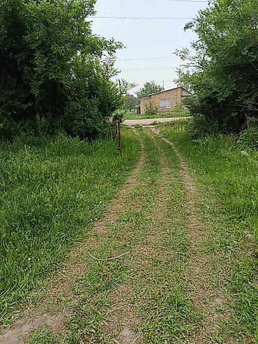 9 соток, Красная книга