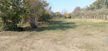 Torpaq sahələrinin satışı: 13 sot, Tikinti, Mülkiyyətçi, Kupça (Çıxarış) — 2