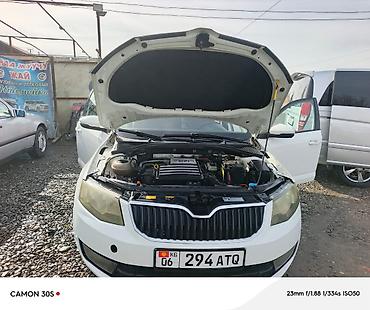 Skoda: Skoda Octavia: 2014 г., Автомат, Бензин — 11