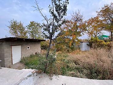 Продажа коттеджей и домов: Дом с участком и хозпостройками - Отдельный жилой дом с двускатной — 9