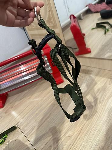 цеп для собак: Писать и звонить по номеру Нашейник и шлейка для собаки, цвет хаки — 6