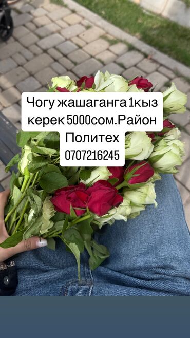 квартира рабочий горадок: Студия, 20 м², С мебелью