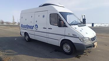 полу присеп: Рефрижераторный фургон Mercedes‑Benz Sprinter с изотермическим кузовом — 3