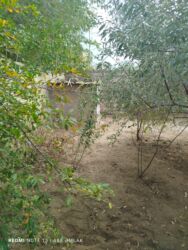 Həyət evləri və villaların satışı: 3 otaqlı, 160 kv. m, Kredit yoxdur, Orta təmir — 11