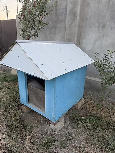 heyvanlar itler: İt evi – taxta konstruksiyalı, ikitərəfli maili damlı - Material — 2