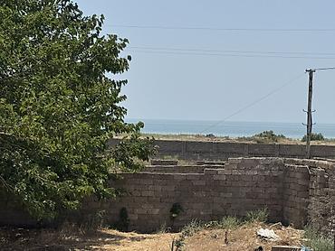gen: 7 sot, Tikinti, Mülkiyyətçi, Kupça (Çıxarış), Texniki pasport — 1