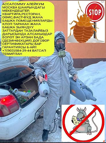 стирка ковров токмок: Дезинфекция, дезинсекция, | Клопы, Блохи, Тараканы, | Транспорт, Офисы, Квартиры — 6