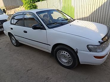 на corolla: Toyota Corolla: 1993 г., 1.6 л, Механика, Бензин, Седан — 3