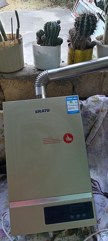 xrom caydan: ERATO qazla işləyən divar tipli su qızdırıcısı - Brend: ERATO - Tip — 1