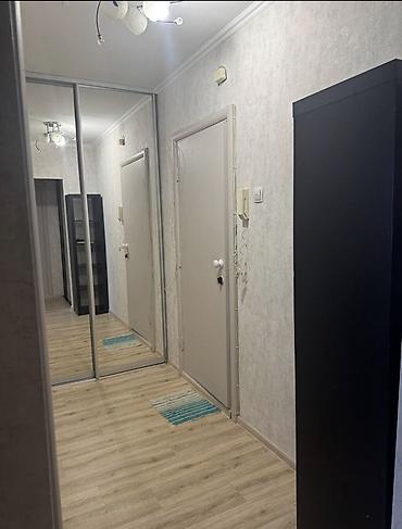 Батирлерди ижарага берүү: 1 бөлмө, Восток-5 мкр Кыймылсыз мүлк агенттиги, Жаныбарлар менен болот, 1 айдан баштап, 3 айдан баштап, 6 айдан баштап, Толугу менен эмереги бар — 7