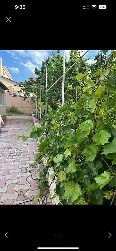 Долгосрочная аренда домов: 160 м², 7 комнат, Евроремонт, Забор, огорожен, Амбарная — 21