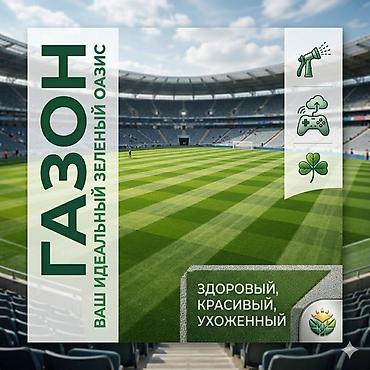 цветы ош: Газон для всех видов ✅ — 1