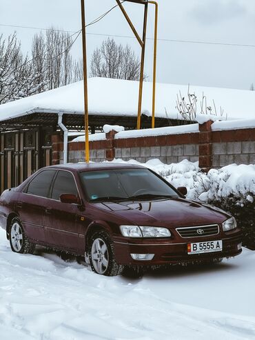 Toyota: Toyota Camry: 2000 г., 3 л, Автомат, Бензин, Универсал