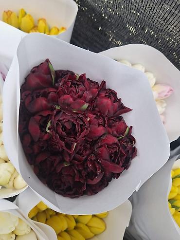 Букеты из живых цветов: Г.Ош оптом и розницу. Тюльпаны с луковицами, срезка «на поле» в — 17