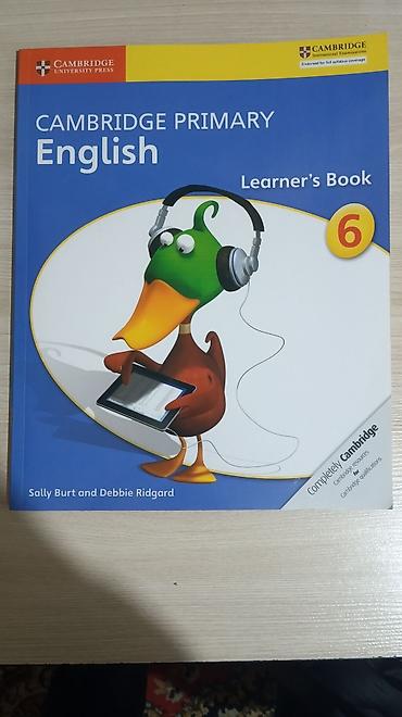 solutions third edition: Cambridge Primary English Learner’s Book 6 Учебник английского языка — 1