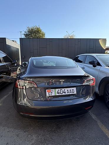 Tesla: Tesla Model 3: 2023 г., Автомат, Электромобиль, Седан — 2