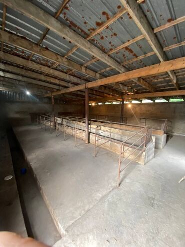 Продажа домов: Дом, 50 м², 3 комнаты, Собственник, Косметический ремонт — 13