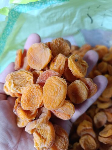 мандарины турция или где купить фрукты оптом: Абрикосы Оптом