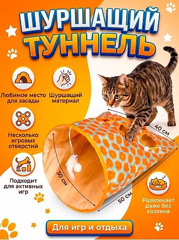 купить кошку в бишкеке: ?агазин Ветинтерсервис, Люксембург Ленина 143. Большой выбор — 8