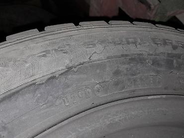 15 disk type 1: Комплект зимних шин Dunlop на штампованных дисках - Размер: 195/65 — 7