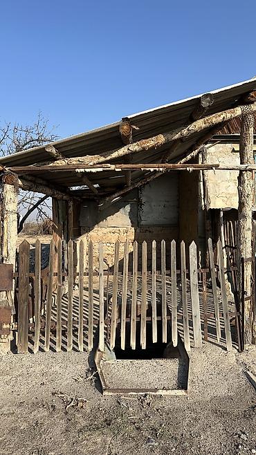 Продажа дачи: 2 комнаты, 50 м², 5 соток, Электричество — 7