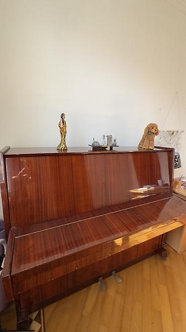 Kuban pianino Ev, musiqi məktəbi və məşq otaqları üçün klassik lalafo.az -da Kuban pianino Ev, musiqi məktəbi və məşq otaqları üçün klassik