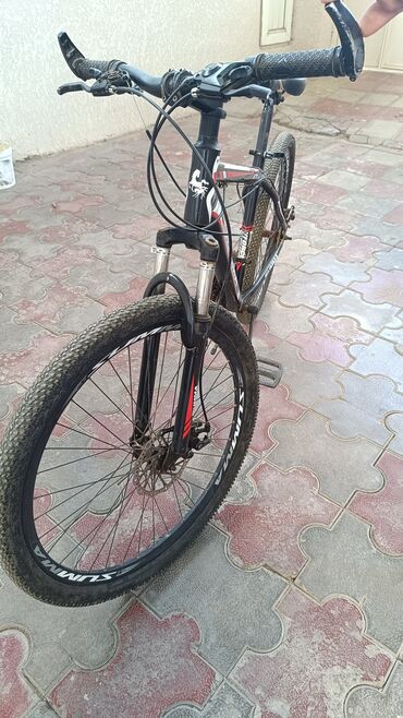 книги о домашних животных 3 класс: İşlənmiş Şəhər velosipedi 26", Ünvandan götürmə