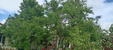 Həyət evləri və villaların satışı: 15 otaq, 300 kv. m, Kredit yoxdur, Orta təmir -da lalafo.az — 4 Həyət evləri və villaların satışı: 15 otaq, 300 kv. m, Kredit yoxdur, Orta təmir — 4