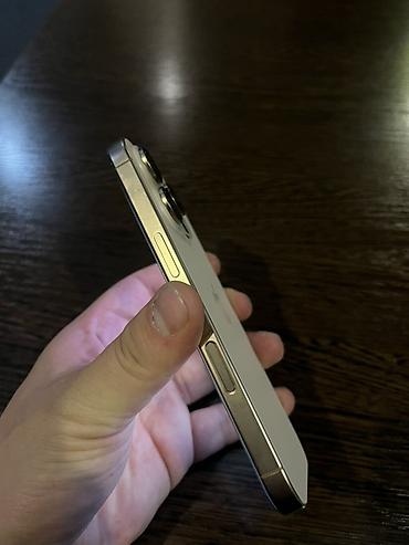 ipad 13 pro: IPhone 16 Pro, 256 ГБ, цвет «Natural Titanium» (светлый титановый) — 2