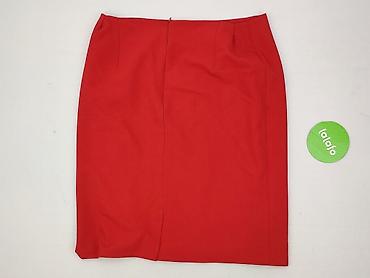 ca spodnice: Spódnica damska, rozmiar 2XL — 3