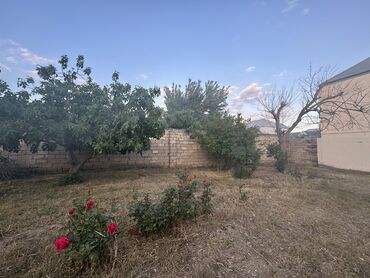 Həyət evləri və villaların satışı: Savalan 2 otaqlı, 40 kv. m, Kredit yoxdur, Yeni təmirli -da lalafo.az — 14 Həyət evləri və villaların satışı: Savalan 2 otaqlı, 40 kv. m, Kredit yoxdur, Yeni təmirli — 14