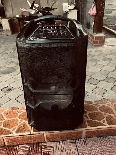 портативные колонки divoom: Портативная акустическая система V-SIC VS-1229B - Форм‑фактор