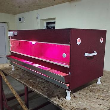 Товары и оборудование для с/х животных: Продаю брудер для выращивания цыплят полный комплект сделан из фанеры — 8