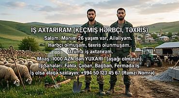 coban axtarilir: Çoban, 26 yaş, 3-5 illik təcrübə — 1