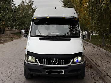 nissan caravan: Автобус, Mercedes-Benz — 2