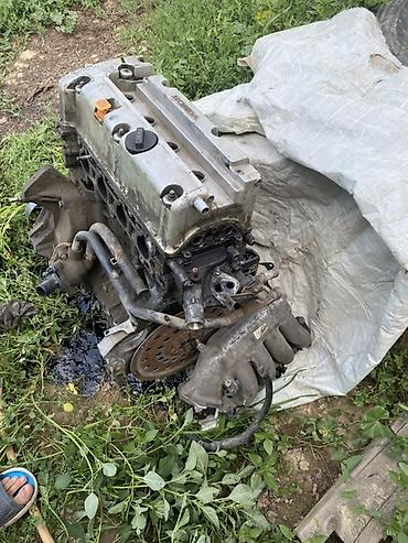 матору стук: Двигатель Honda к24А4 (бензиновый 2.4 объем). Все датчика имеются — 2