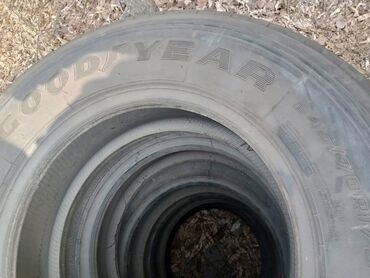 машина ман: Шиналар 245 / 40 / R 17.5, All-season, Колдонулган, Жүк ташуучу унаалар/Автобустар, Германия, Barum