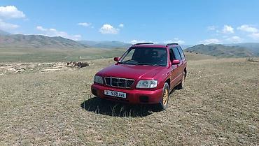 прямоток sti: Subaru Forester: 2000 г., 2 л, Автомат, Бензин, Универсал — 6