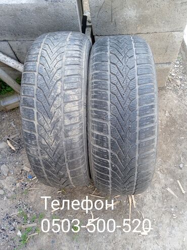 Шины: Шины 195 / 65 / R 15, Всесезонная, Б/у, Пара, Легковые, Китай, Dunlop