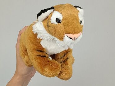 decathlon strój kąpielowy dzieci: Mascot Lion, condition - Very good