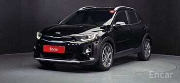 Kia: Kia Stonic: 2019 г., 1.6 л, Автомат, Дизель, Кроссовер — 3