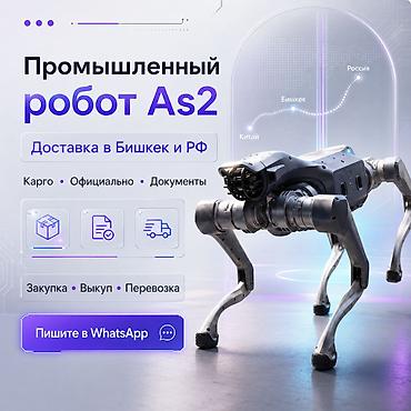 робота курьер: Доставка робота из Китая в Бишкек и РФ Помощь с закупкой, карго — 1