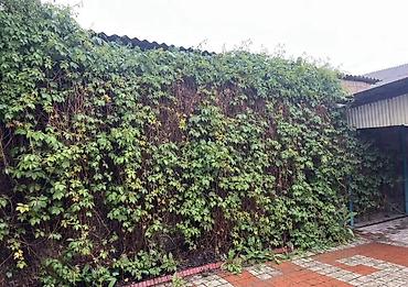 Продажа коттеджей и домов: 🔥Продается Дом 🔥 🏡Район: Ак орго ✅Участок: 5 соток 📍Площадь: 80 — 3