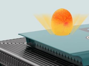 Зоотовары: Инкубатор для 25 яиц ZC25 1)Выбирайте свежие оплодотворенные — 7