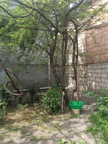 Həyət darvazaları: RT Arxasında körpüdən sağda 2 ci küçədə 2 mərtəbəli 8 otaqlı həyət evi -da lalafo.az — 25 Həyət darvazaları: RT Arxasında körpüdən sağda 2 ci küçədə 2 mərtəbəli 8 otaqlı həyət evi — 25